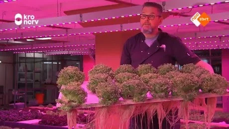 "What We Are Doing Here Is A Big Compromise"