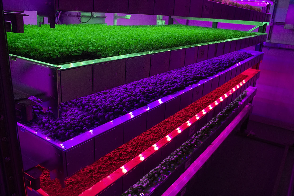 11 Indoor Farming Companies Taking Agriculture Indoors