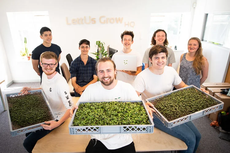 lettus_grow.jpg