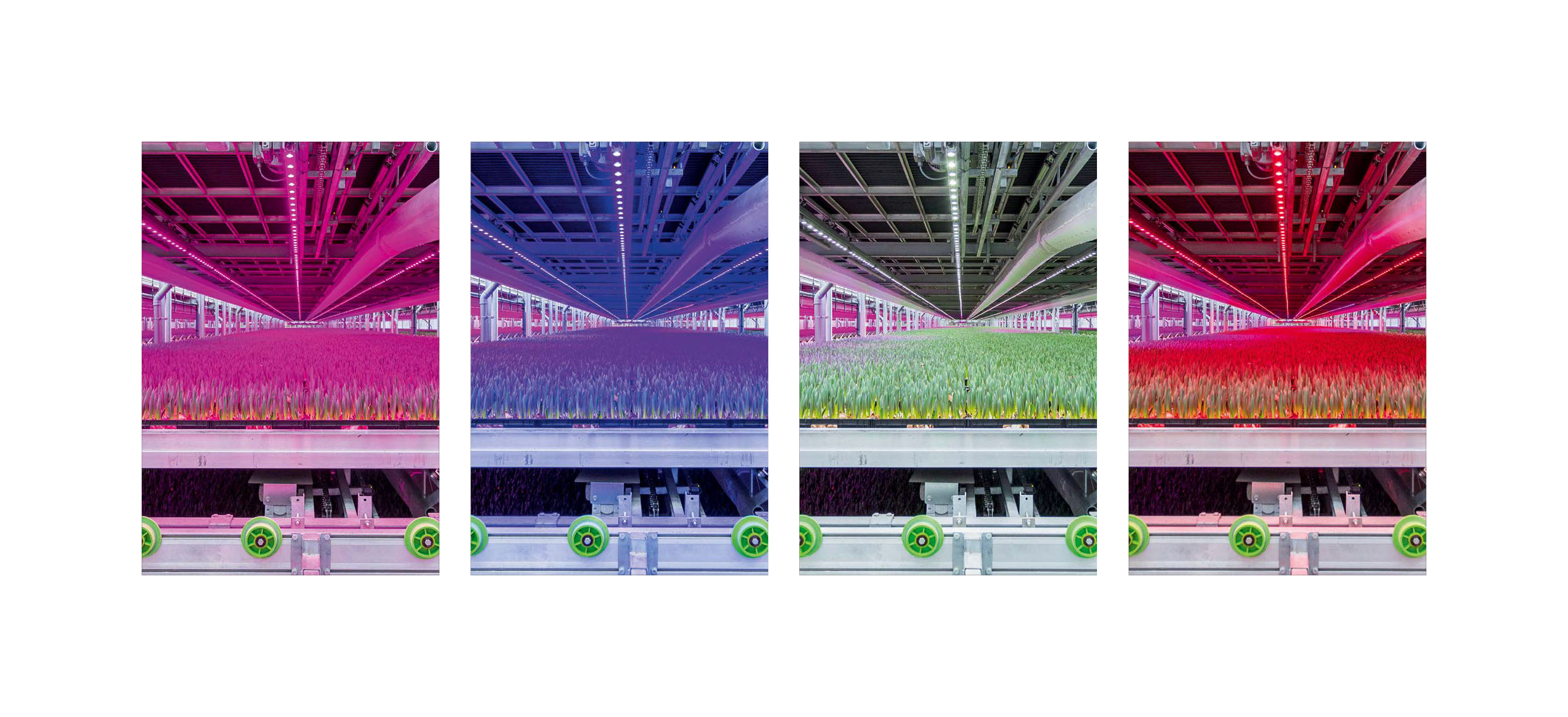 Signify GrowWise Control System 2.jpg