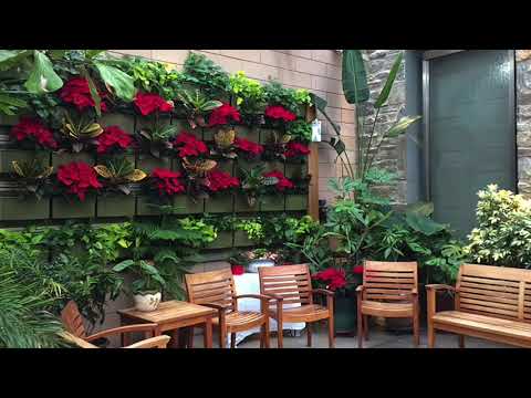 Alice and Herbert Sachs Therapeutic Conservatory - Featured Project (Copy)