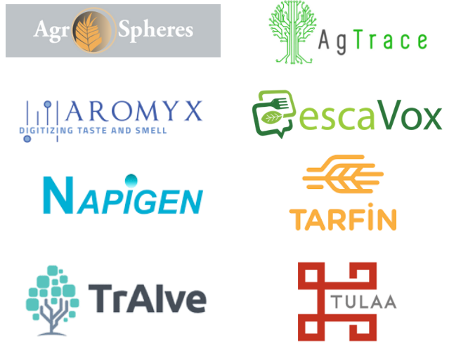 Radicle Pitch Finalists 2019.png