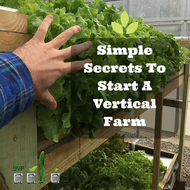 Simple Secrets To Start A Vertical Farm