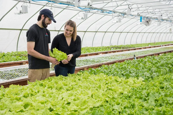 Courtesy of Tom McPherson Springworks Farm, a commercial aquaponics operation in Lisbon.