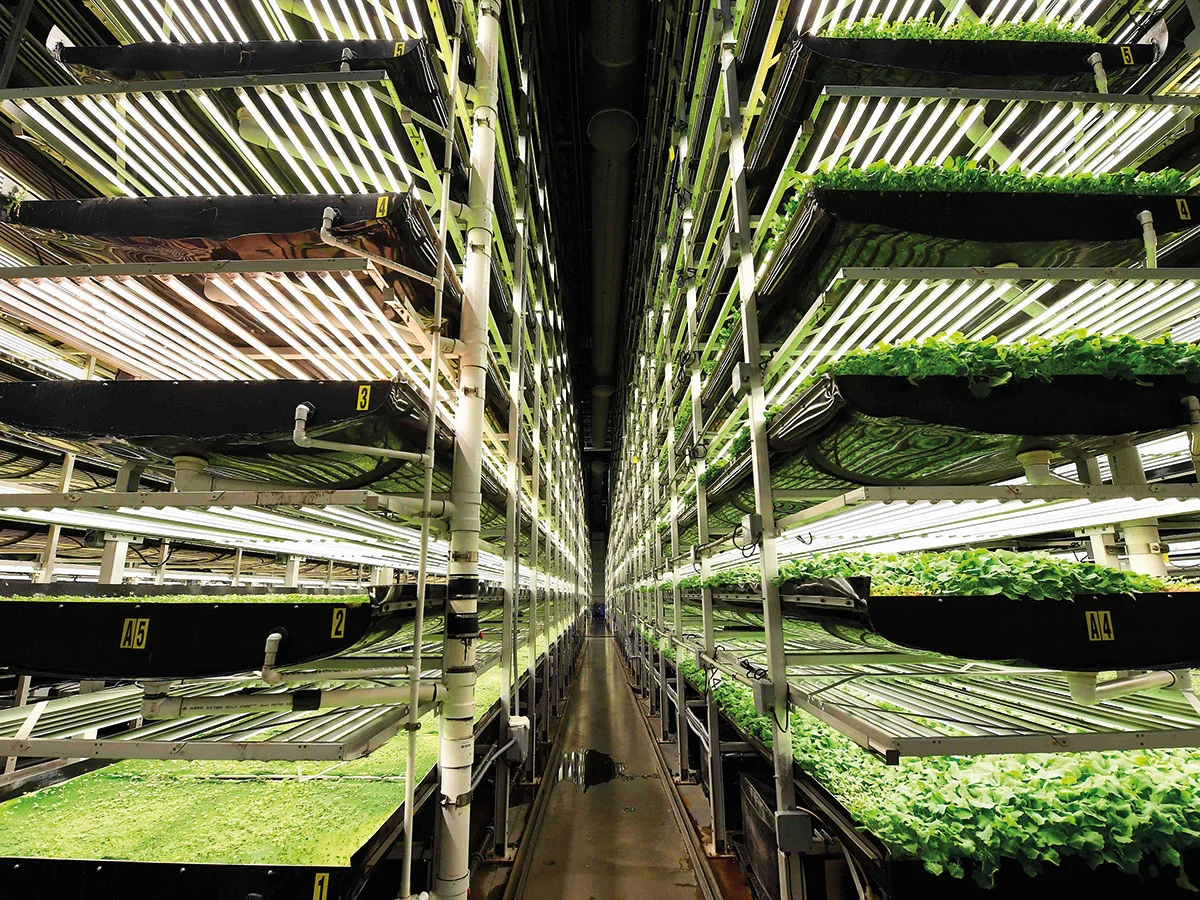 AeroFarms co-founder Marc Oshima. AeroFarms of Newark, New Jersey, is the largest vertical farm in the world.Image Credit: AFP