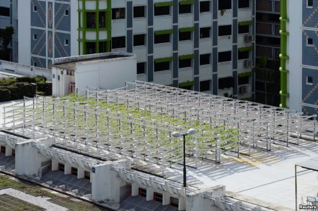 An aerial view shows Citiponics' urban farm located on the rooftop of a multi-story garage in a public housing estate in western Singapore, April 17, 2018.