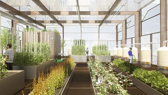 15c - Superfarm_Vertical_farm_05_ credit Studio NAB.jpg