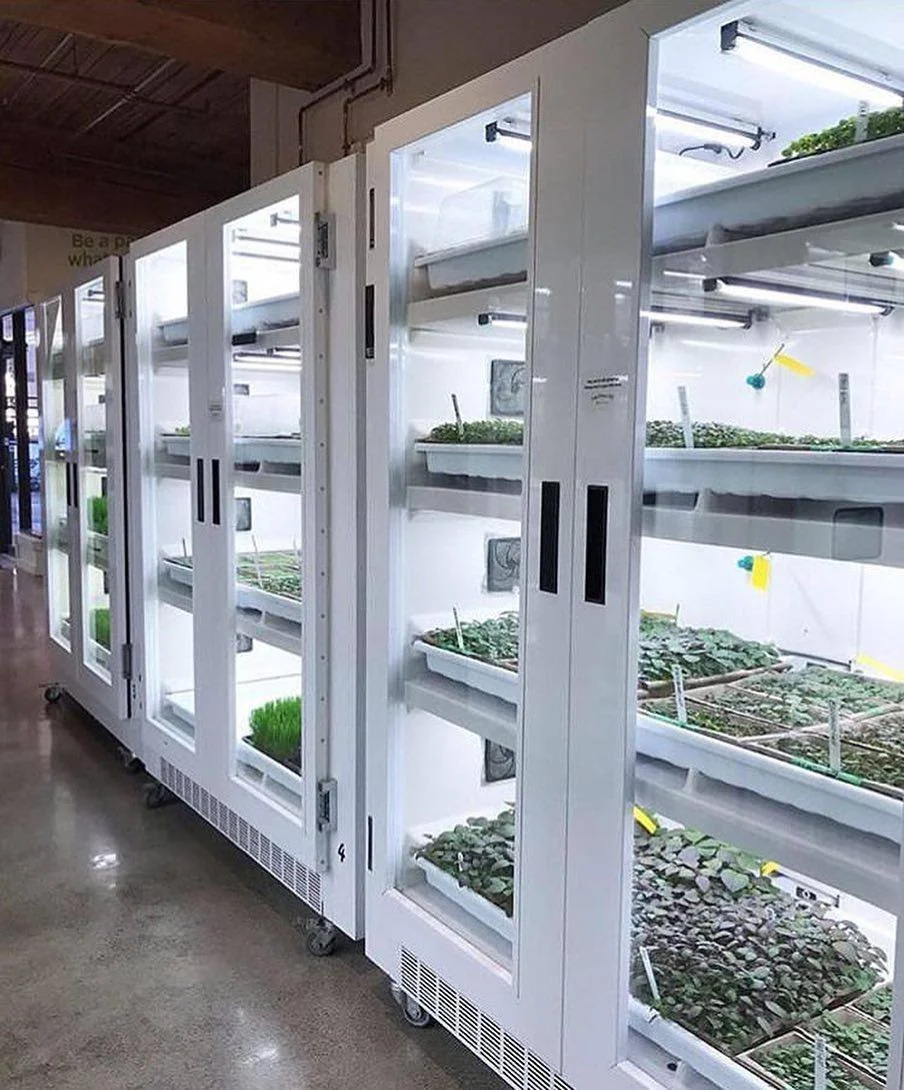 URBAN CULTIVATOR (Copy)