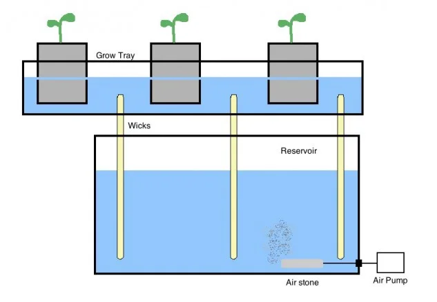 Image From: https://www.thespruce.com/hydroponic-gardens-wick-system-1939222