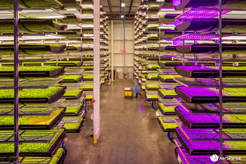 AeroFarms-1 (1).jpg