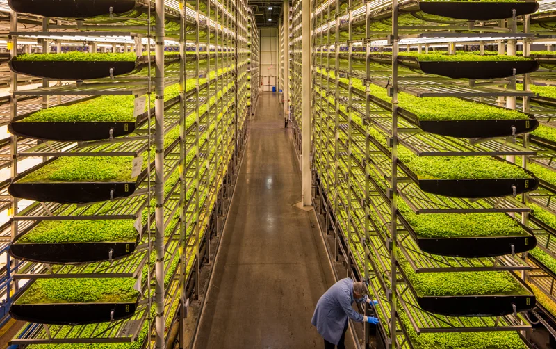 AeroFarms-2.jpg