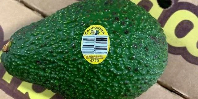 avocado2.jpg