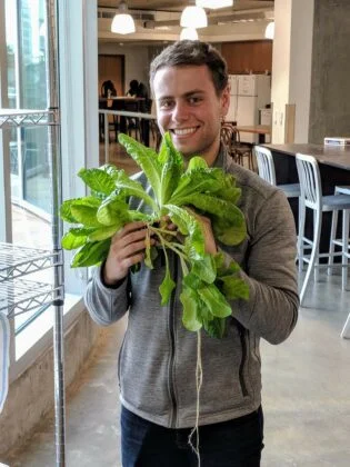 Dylan Wootton, a member of the U’s Hydroponics Club, holds lettuce grown in hydroponic incubators. (Courtesy of Dylan Wootton)