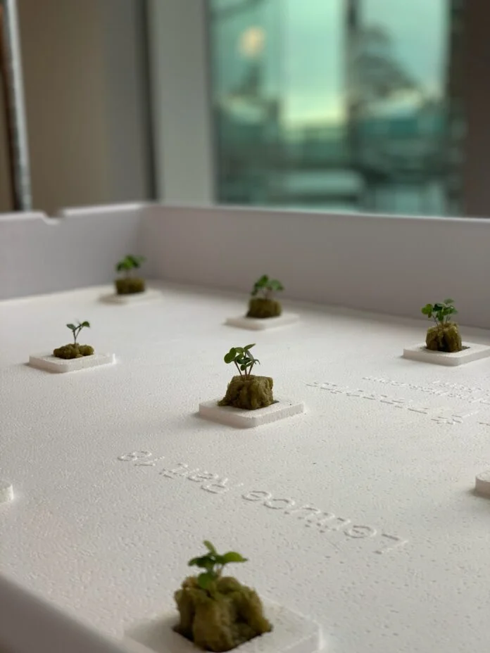 Hydroponics gardens located at the U's Lassonde Studios (Courtesy of Dylan Wootton)