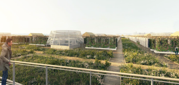 3D view of the urban farm on the rooftop of Pavilion 6 (Paris Expo Porte de Versailles) © VALODE&PISTRE ARCHITECTES/ATLAV - AJN