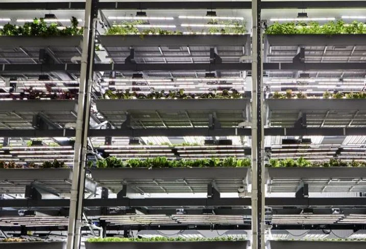 Bowery Farming Bowery Farming, Kearny, N.J.