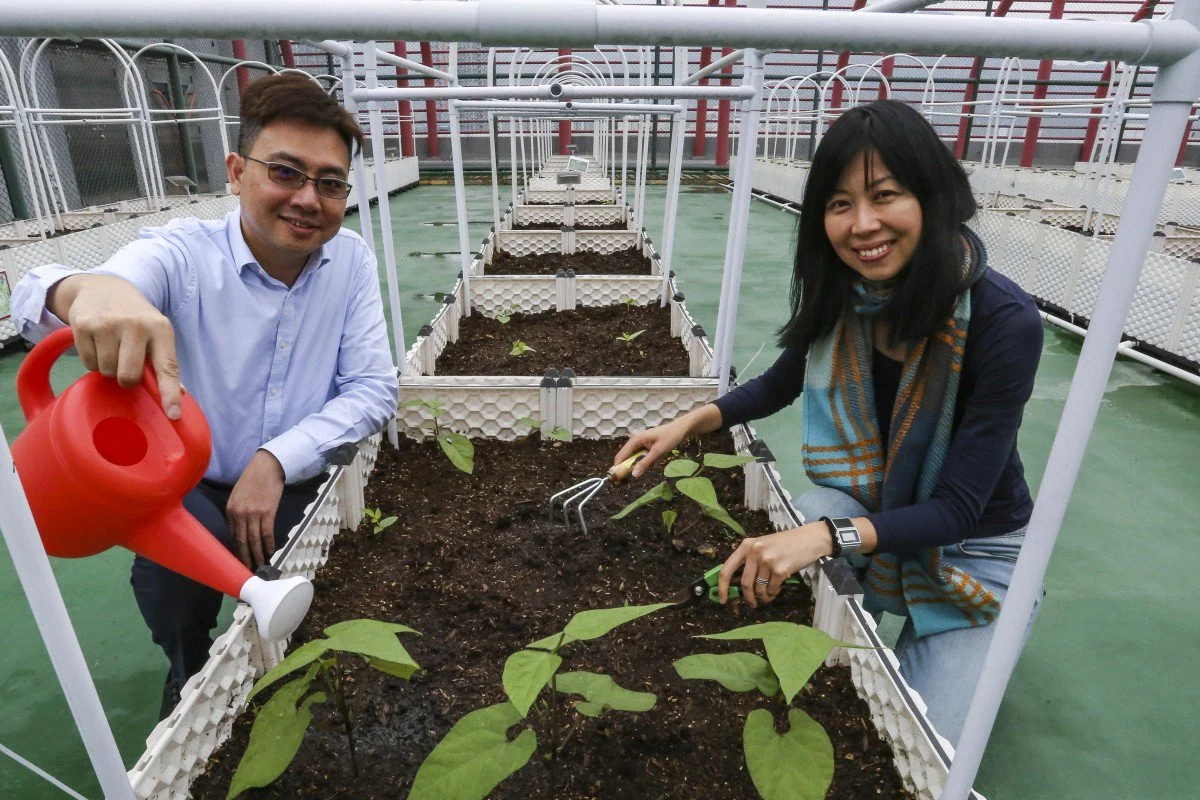 Jeff Chan (left) from Jones Lang LaSalle and farming expert Michelle Hong from Rooftop Republic. Photo: Jonathan Wong