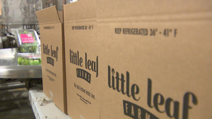 Little Leaf Farms products are boxed at their Devens facility. (WBZ-TV)