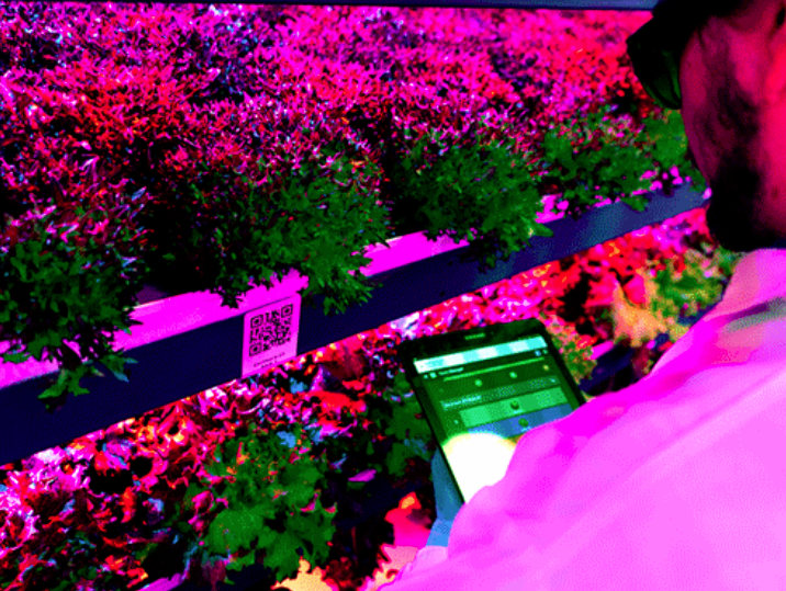Screen Shot 2019-05-08 at 7.29.37 PM.png