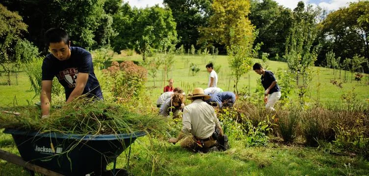 The Philadelphia Orchard Project plants at Bartram's Community Farm.