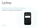 UF_25-cal-amp.jpg