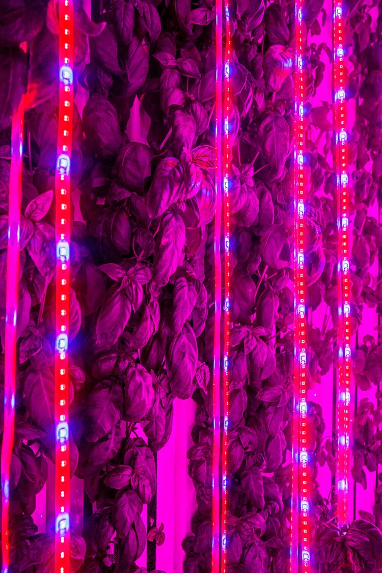 Freight+Farms+LED+lights.jpg