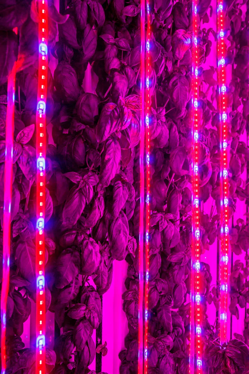 Freight Farms LED lights.jpg