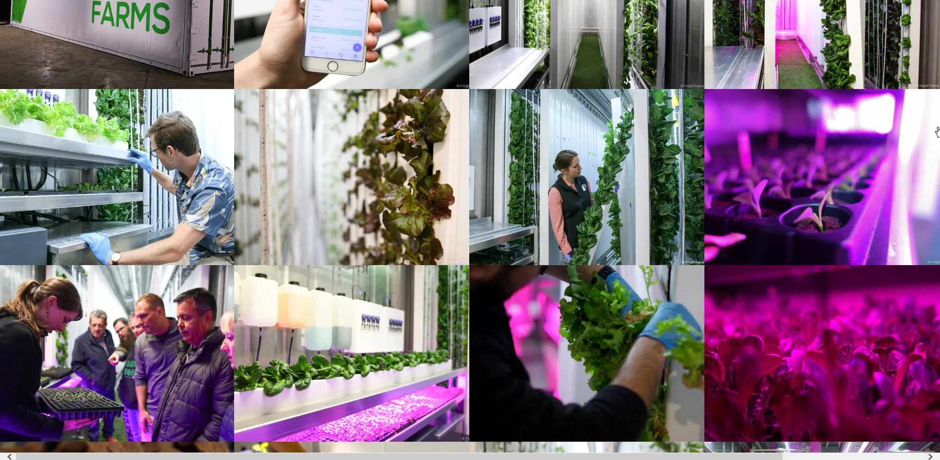 Seedling Table Pics.jpg