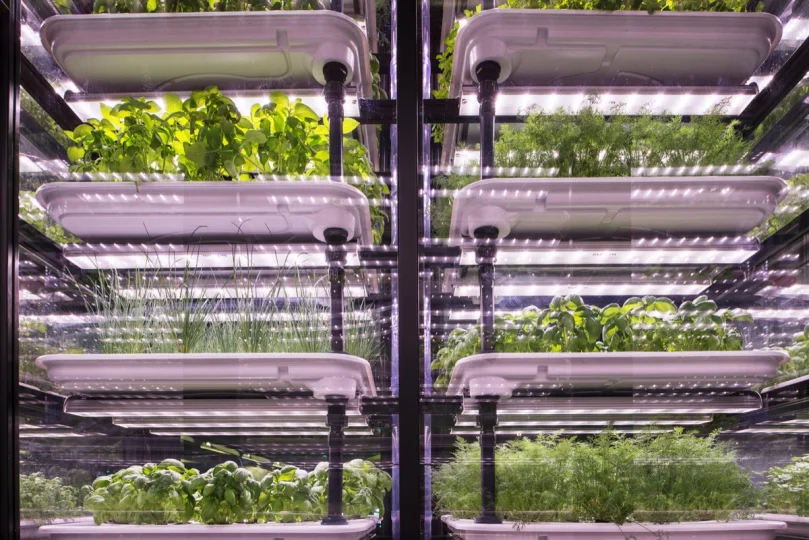 GiovannidelBrenna_ParisAgricole4-x540q100.jpg