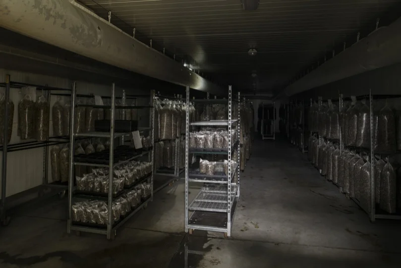GiovannidelBrenna_ParisAgricole1-x540q100.jpg