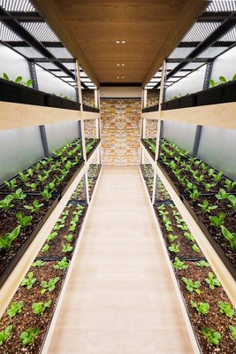 Micro Lab Farms 3.jpeg