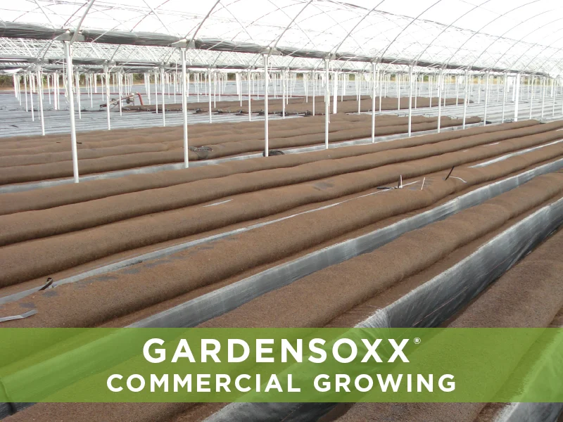 GardenSoxxCommercialGrowing_5.jpg