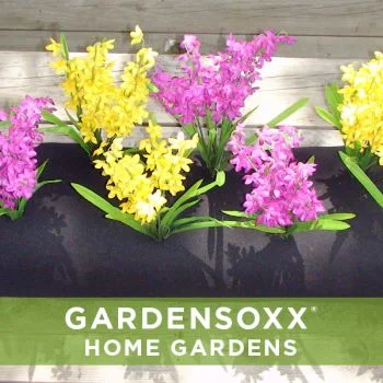 Gardensoxx with flowers.jpg