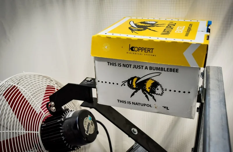 060719 Ham acres 22.jpeg