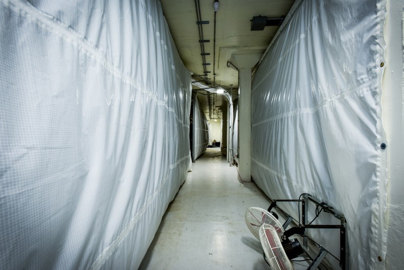 060719 Ham acres 23.jpeg