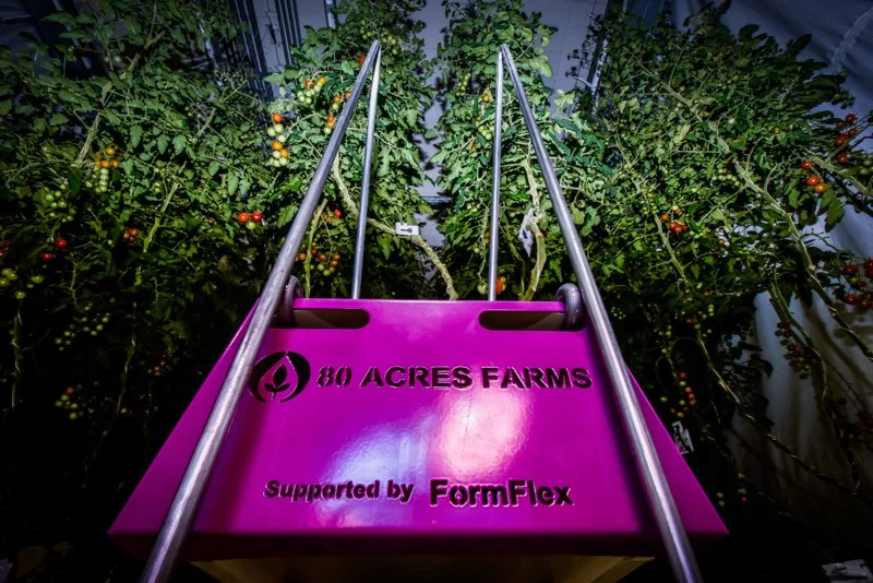 060719 Ham acres 09.jpeg