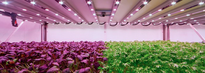 High-efficiency Philips lighting will be used in the centre's clean rooms