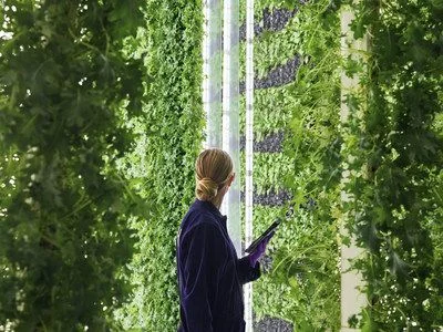 Plenty_Vertical_Farm_Woman_Closeup.jpg
