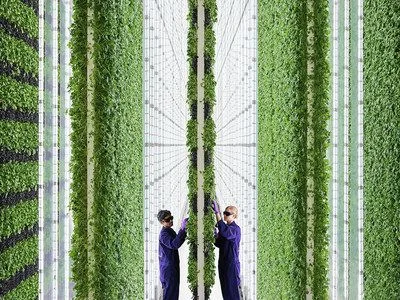 Plenty_Vertical_Farm_Two_People.jpg
