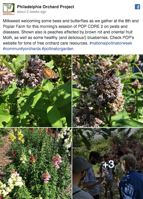 Screen Shot 2019-07-06 at 9.18.41 AM.png