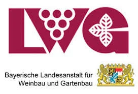 LWG Veitshöchheim Is Researching High-Tech Tomato Installations of The Future