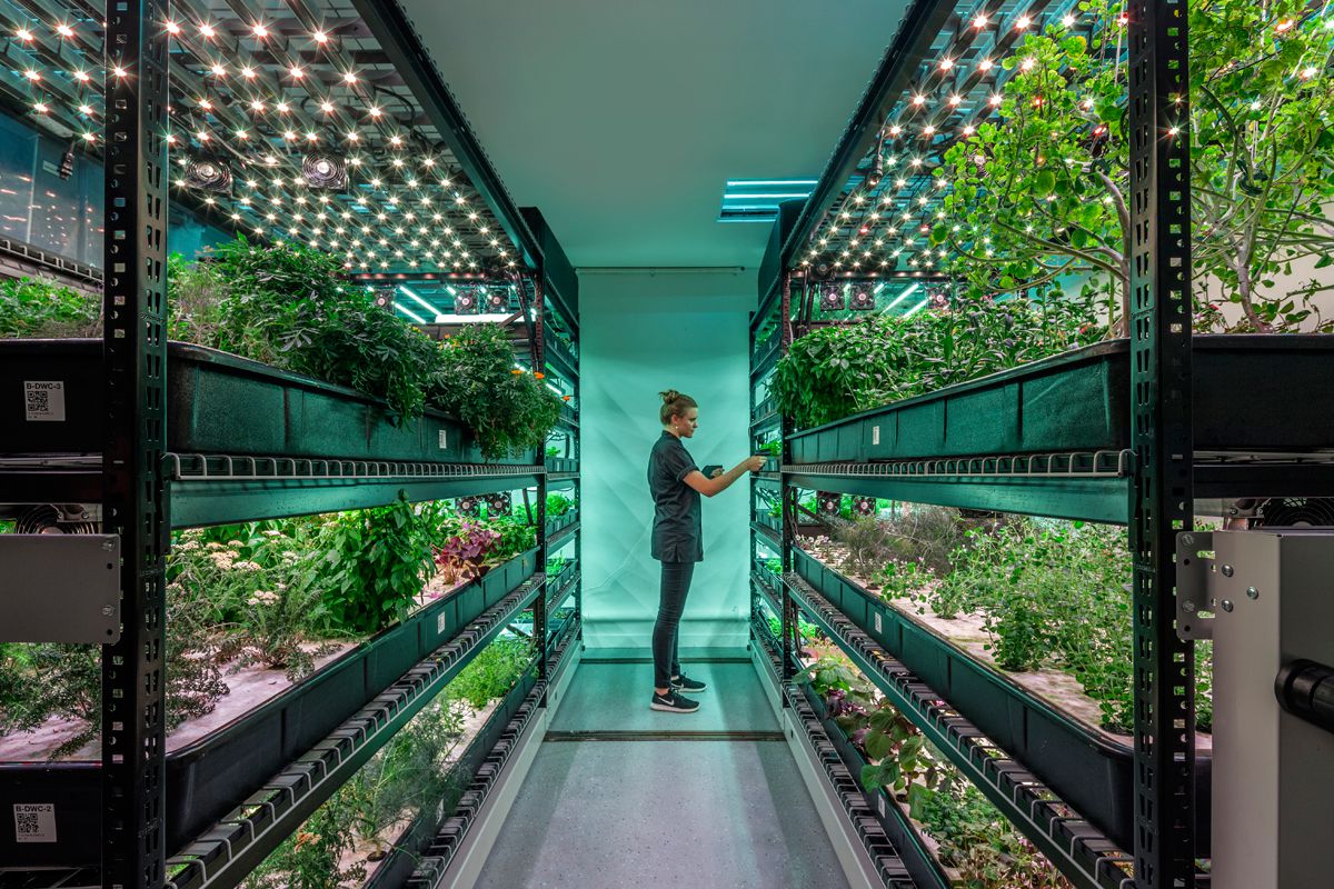 A vertical farming setup from farm.one | Photo courtesy of farm.one