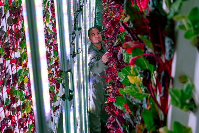 Tending to a vertical farm from SF-based startup Plenty | Photo courtesy of Plenty