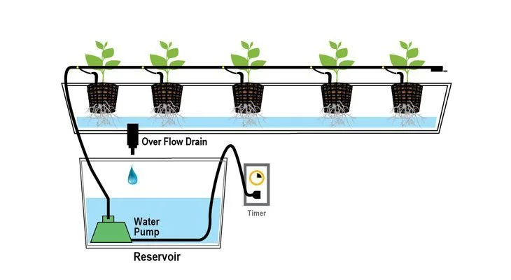 How Hydroponics Work