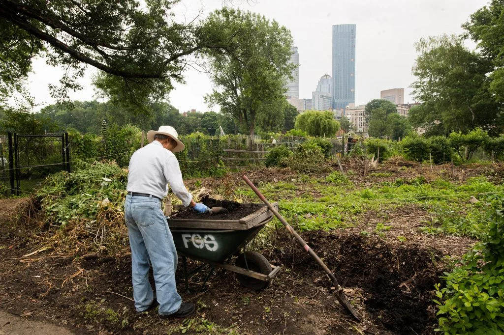 The Urban Agriculture class explores the racial and ethnic dynamics that can frequently determine who gets to garden in the city and where. Photo by Cydney Scott