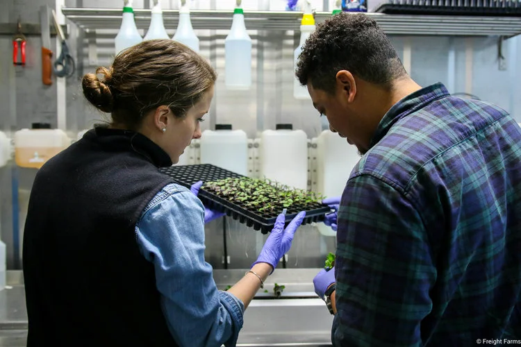 Freight+Farms_Workers.jpg