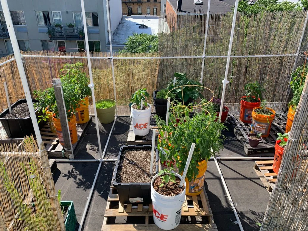 Self-watering containers, like those seen here, mean that even if you're not always around to take care of your garden, your plants will still have enough to drink. Ryan Boysen