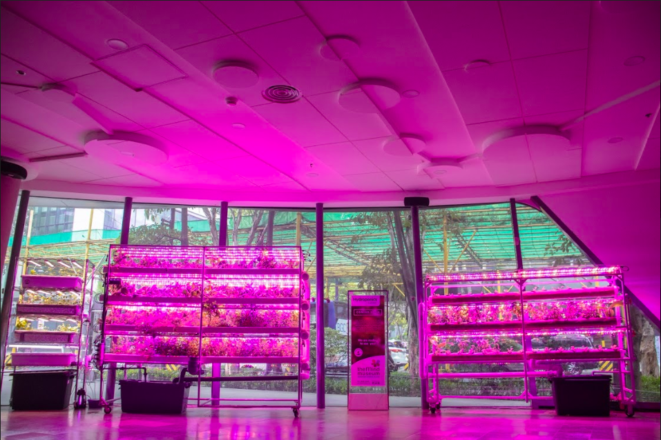 Screenshot-2019-08-05-at-12.54.58.png