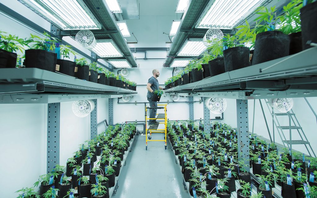 vertical-farming-daniel-berman-1024x640.jpg