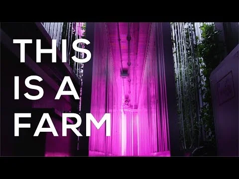 THIS IS A FARM (Copy)